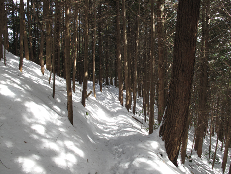 20140211hike (77)